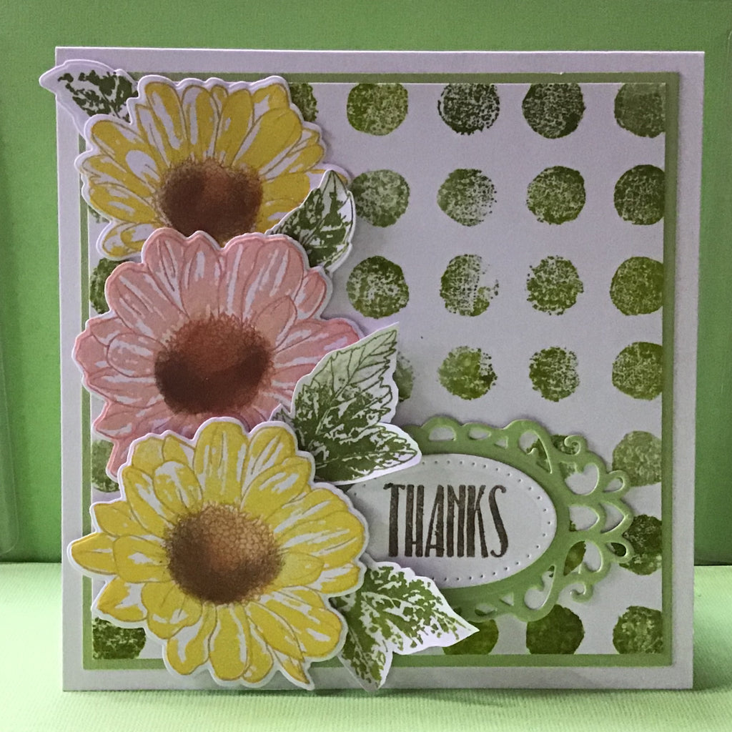 Cheerful daisies thanks