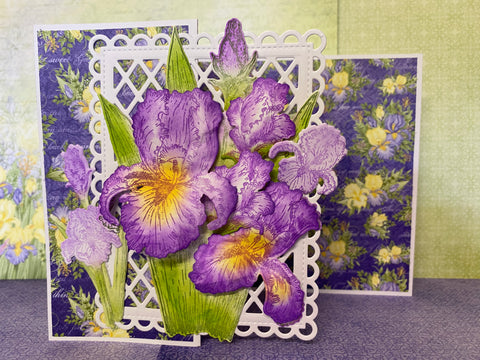 Iris flower design class (physical)
