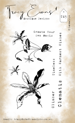 Tracy Evans Clematis A6 stamp
