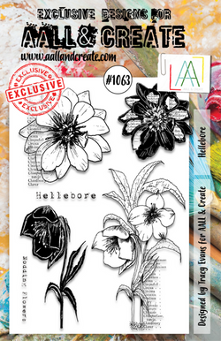 AALL & Create Hellebore