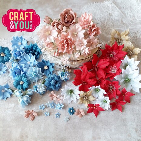 Craft & You small poinsettia die set
