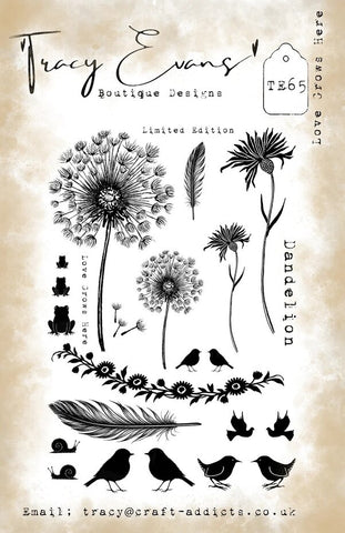Tracy Evans TE065 Love grows here A5