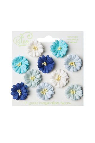 Bloom flowers Cosmos aqua and blue B150