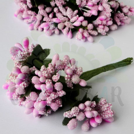 Stamen bunch - pink