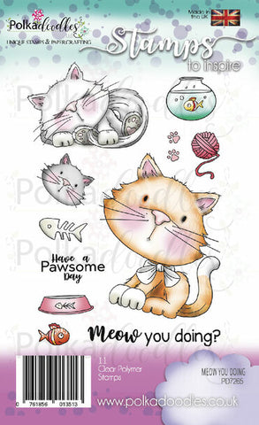 Polkadoodles Meow You Doing Clear Stamps (PD7265)